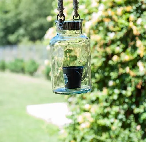 Casa Canter Napoca Cluj-Napoca